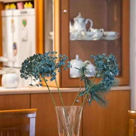 2br Lefkas House Апартаменты